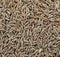 Cumin| Jeera - Whole